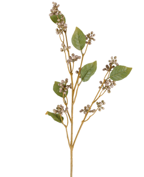 Un unico stelo del fiore artificiale Dewberry, alto 78 cm, con diverse foglie verdi e mazzi di piccole bacche rotonde beige su sottili steli marroni nei toni del grigio e del viola, su uno sfondo bianco.
