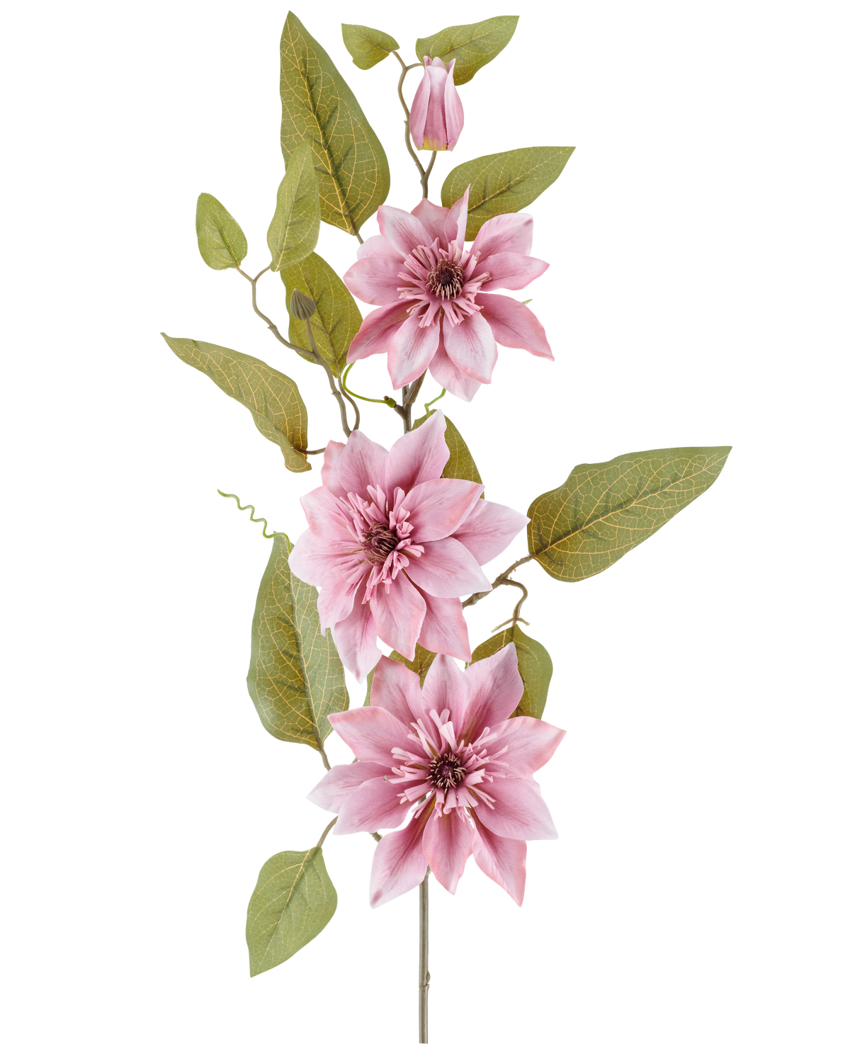 Uno stelo del fiore artificiale Clematis di 81 cm rosa antico, con tre fiori di clematide rosa antico, un bocciolo rosa chiuso e diverse foglie verdi, su uno sfondo bianco.