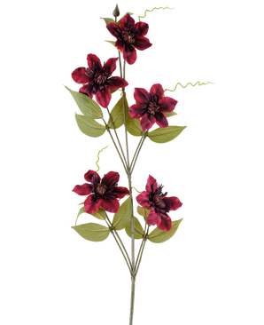 Un singolo fiore artificiale Clematis 78 cm bordeaux, uno stelo artificiale, composto da cinque fiori rosso intenso color bordeaux con centri scuri, circondati da foglie verdi e viticci arricciati, su uno sfondo bianco semplice.