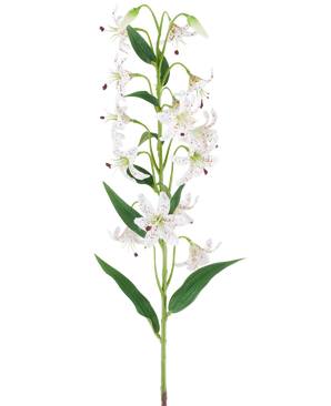 Un lungo stelo verde con diversi gigli artificiali crema e marroni, ciascuno con foglie verdi allungate, presentato su uno sfondo bianco — Fiore artificiale di giglio 82 cm crema/marrone.