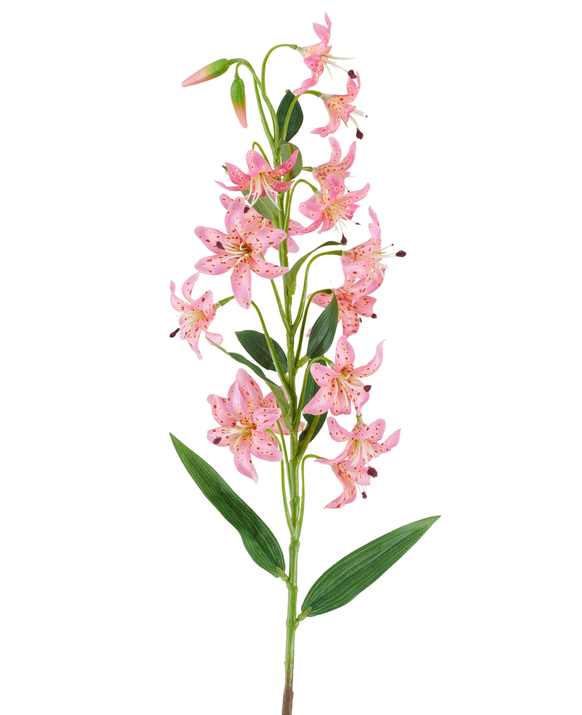 Un unico stelo del fiore artificiale Giglio fucsia da 82 cm, con vivaci fiori di giglio color fucsia con macchie scure, foglie verdi e boccioli su uno sfondo bianco.
