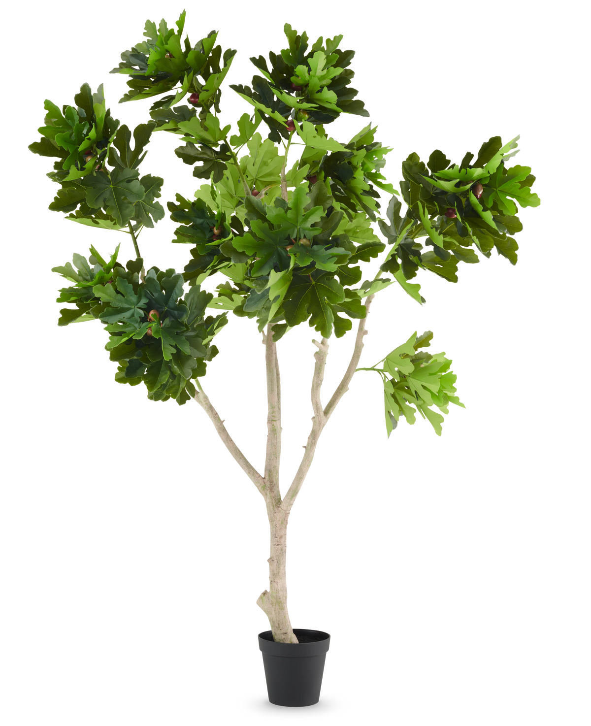 La pianta artificiale Ficus Carica fico 250 cm è un fico artificiale in vaso con molteplici rami marrone chiaro e mazzi di grandi foglie verdi lobate, presentate su uno sfondo bianco semplice.
