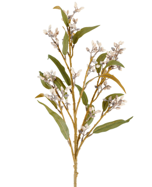 Un singolo stelo di eucalipto artificiale da 78 cm in crema/marrone, con diversi rami di foglie verdi e grappoli di piccoli fiori rotondi, raffigurati su un semplice sfondo bianco.