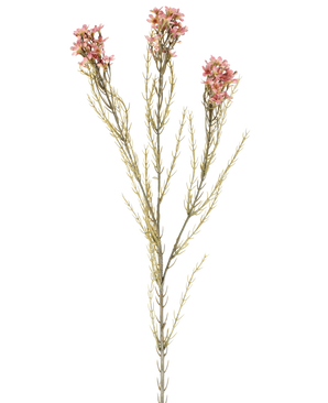 Un singolo fiore artificiale in cera da 78 cm in rosa antico ha uno stelo verde con tre rami, ciascuno con piccoli e delicati fiori rosa antico e sottili foglie aghiformi, visualizzati su un semplice sfondo bianco.