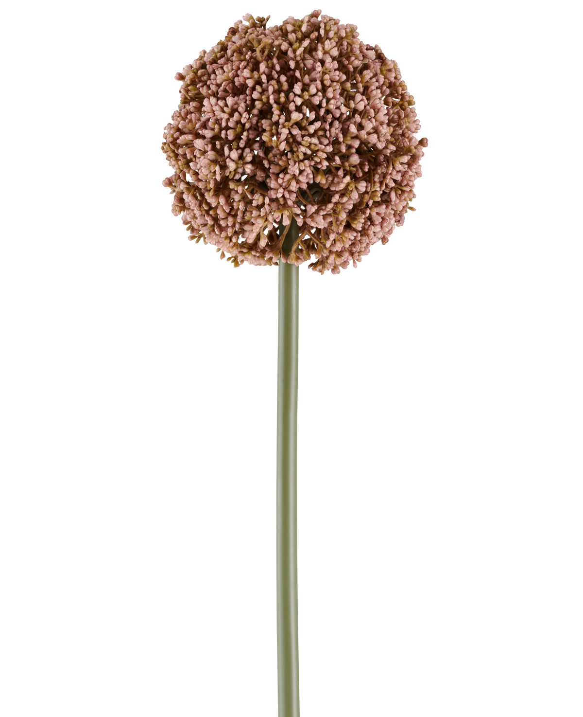 Un unico fiore artificiale Allium di 75 cm di colore malva, con un lungo stelo verde e un grande grappolo rotondo di piccoli boccioli color malva, raffigurati su sfondo bianco.