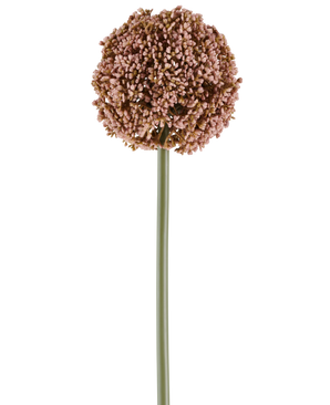 Un unico fiore artificiale Allium di 75 cm di colore malva, con un lungo stelo verde e un grande grappolo rotondo di piccoli boccioli color malva, raffigurati su sfondo bianco.