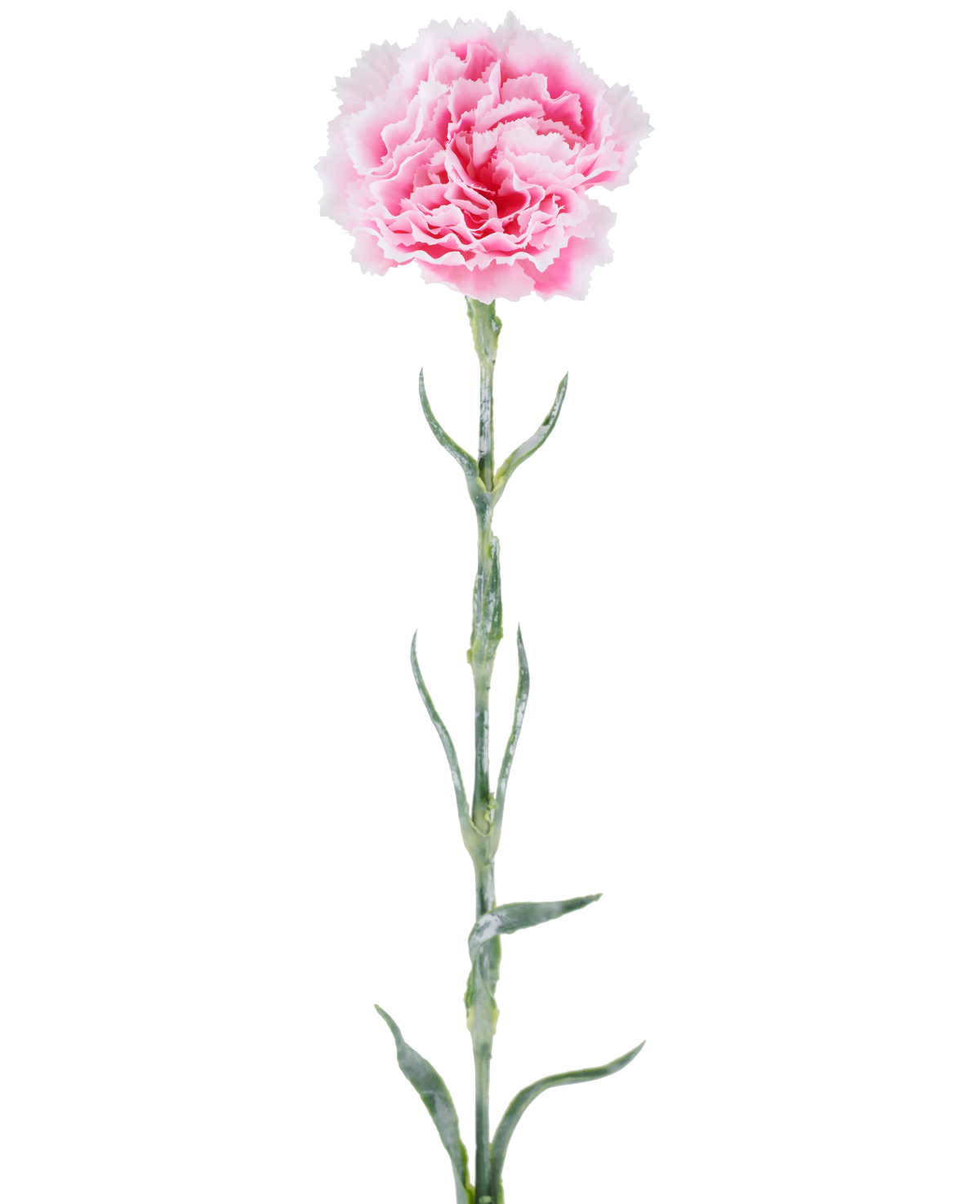 Fiore artificiale: garofano di 68 cm, rosa, con petali rosa increspati su un lungo stelo verde, isolato su sfondo bianco.