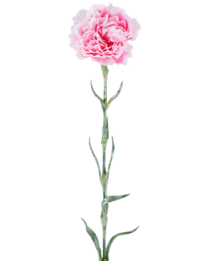 Fiore artificiale: garofano di 68 cm, rosa, con petali rosa increspati su un lungo stelo verde, isolato su sfondo bianco.
