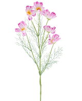 Een Kunstbloem Cosmo van 78 cm in crème/roze, met meerdere lichtroze en witte cosmosbloemen en vederachtige groene blaadjes, afgebeeld tegen een effen witte achtergrond.