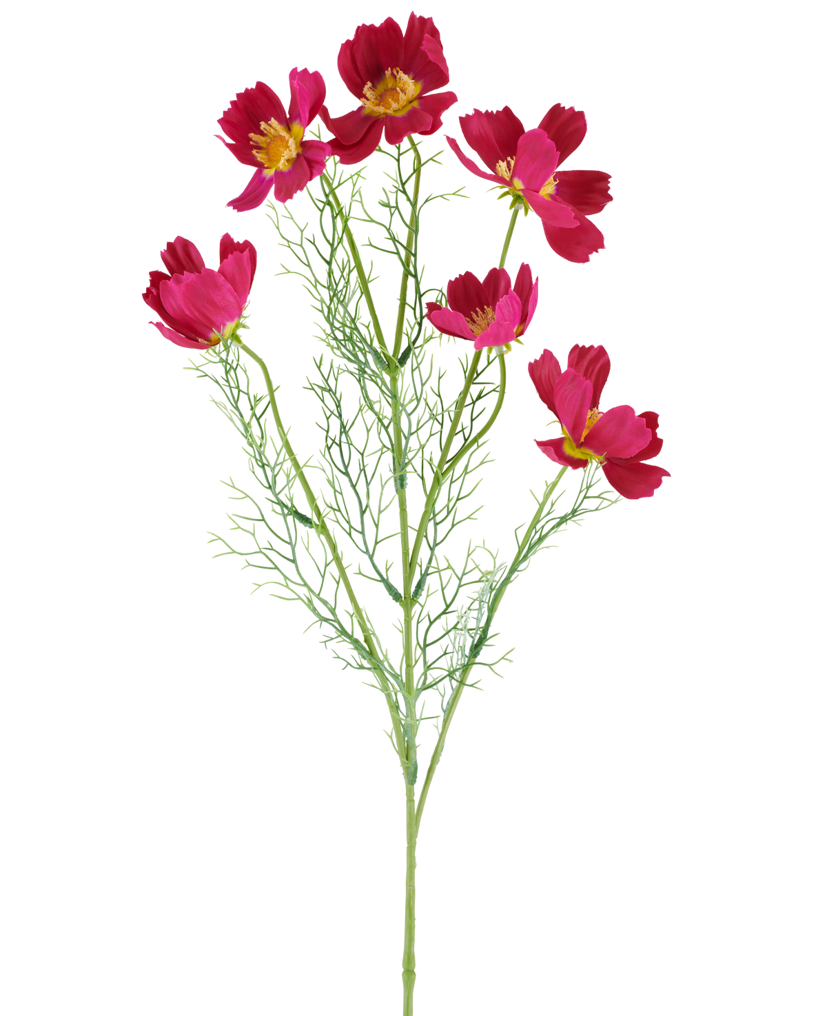 Il fiore artificiale Cosmo fucsia da 78 cm è composto da vivaci fiori cosmo di colore fucsia con centri gialli e delicate foglie verdi piumate, su uno sfondo bianco.