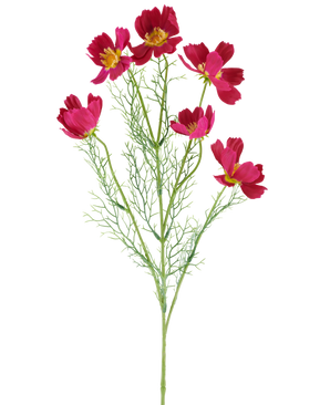 Il fiore artificiale Cosmo fucsia da 78 cm è composto da vivaci fiori cosmo di colore fucsia con centri gialli e delicate foglie verdi piumate, su uno sfondo bianco.