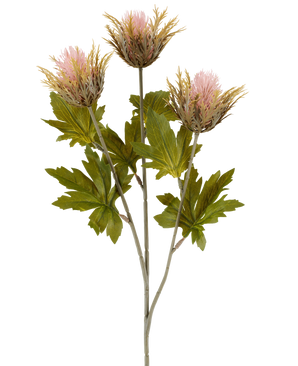 Fiore artificiale Cardo 67 cm rosa antico composto da tre fiori di cardo artificiale appuntiti color rosa e oro con foglie verdi su steli grigi, raffigurati su uno sfondo bianco.