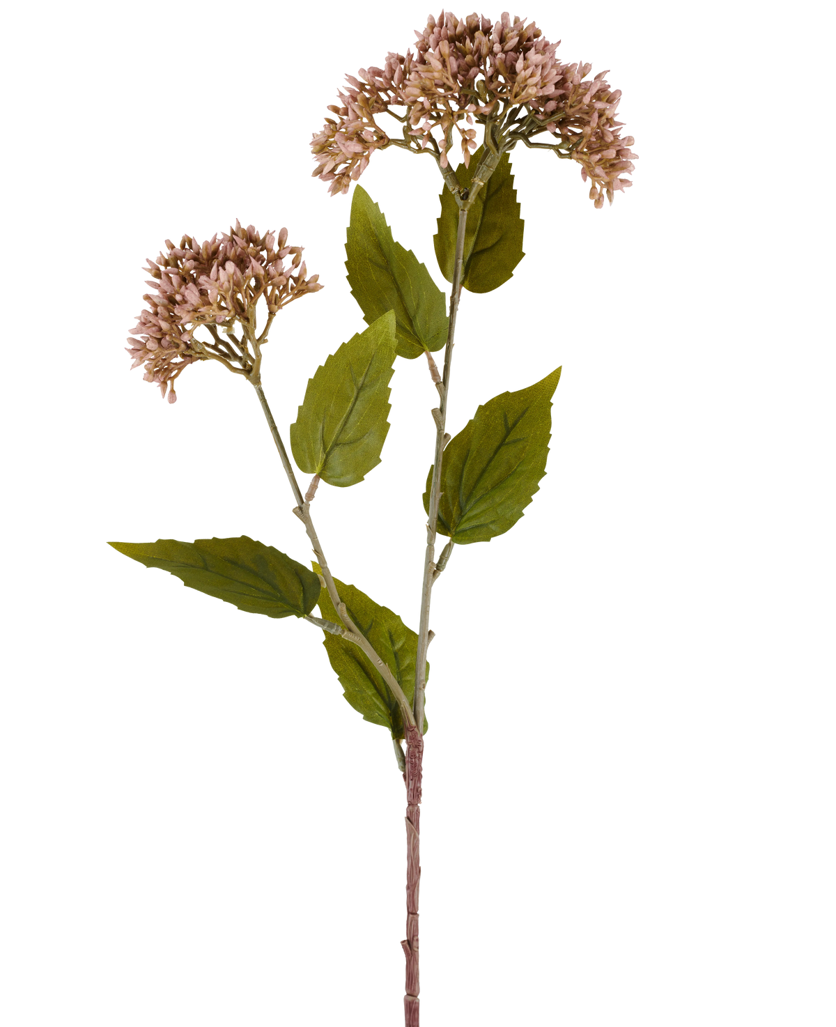 Un singolo stelo di fiore artificiale Sedum 67 cm color malva ha due mazzi di piccoli fiori color malva chiaro e numerose foglie verdi su sfondo bianco.
