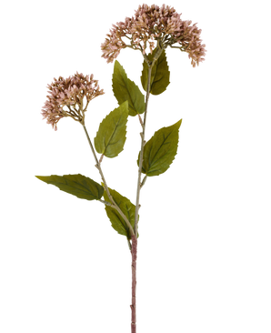 Un singolo stelo di fiore artificiale Sedum 67 cm color malva ha due mazzi di piccoli fiori color malva chiaro e numerose foglie verdi su sfondo bianco.