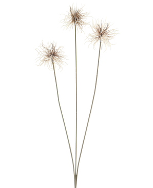 Tre fiori artificiali del genere Xanthium in crema e marrone, ciascuno con steli sottili e lunghi di 64 cm, disposti a forma di ventaglio su uno sfondo bianco semplice.
