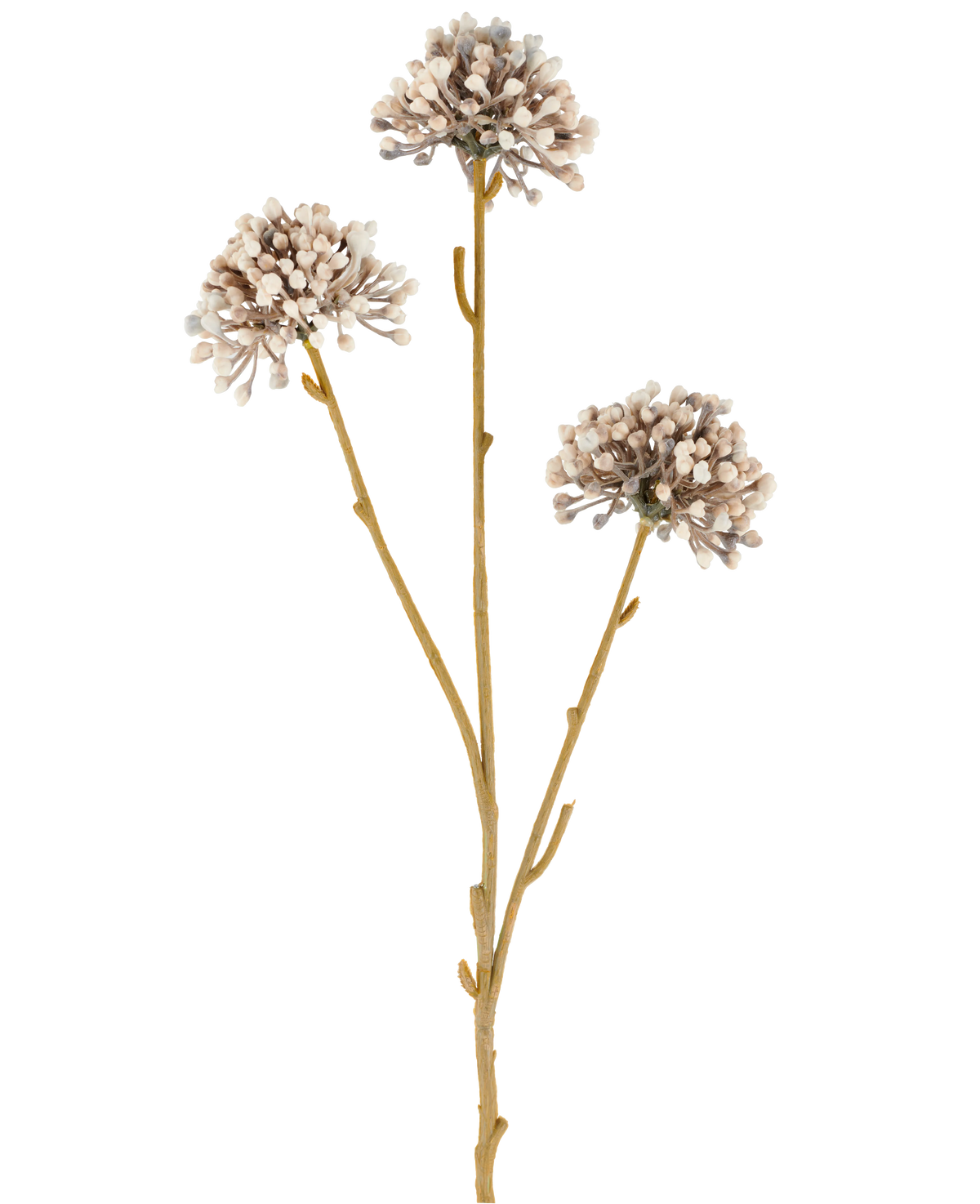 Tre steli marroni del fiore artificiale Mini Allium 60 cm crema/marrone si estendono verso l'alto, ciascuno con un grappolo rotondo di piccoli boccioli crema e marroni all'estremità su uno sfondo bianco semplice. Il tutto sembra minimalista e naturale.