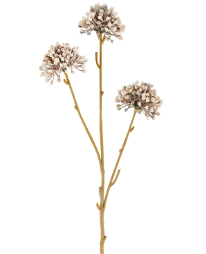 Tre steli marroni del fiore artificiale Mini Allium 60 cm crema/marrone si estendono verso l'alto, ciascuno con un grappolo rotondo di piccoli boccioli crema e marroni all'estremità su uno sfondo bianco semplice. Il tutto sembra minimalista e naturale.