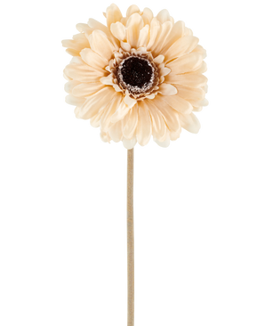 Il fiore artificiale Gerbera da 53 cm crema/marrone è costituito da un'unica gerbera artificiale color pesca chiaro con petali a strati e un cuore marrone scuro su uno stelo lungo e sottile, raffigurato su un semplice sfondo bianco.