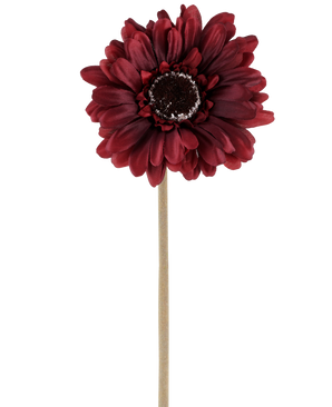 Il fiore artificiale Gerbera bordeaux da 53 cm è composto da una gerbera artificiale in una ricca tonalità rosso scuro con petali a strati e un cuore marrone, attaccata a un lungo stelo dritto e di colore chiaro e presentata su un semplice sfondo bianco.
