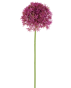 Un unico lungo stelo del fiore artificiale dente di leone da 63 cm fucsia porta un grappolo rotondo di piccoli fiori fucsia a forma di stella su uno sfondo bianco.