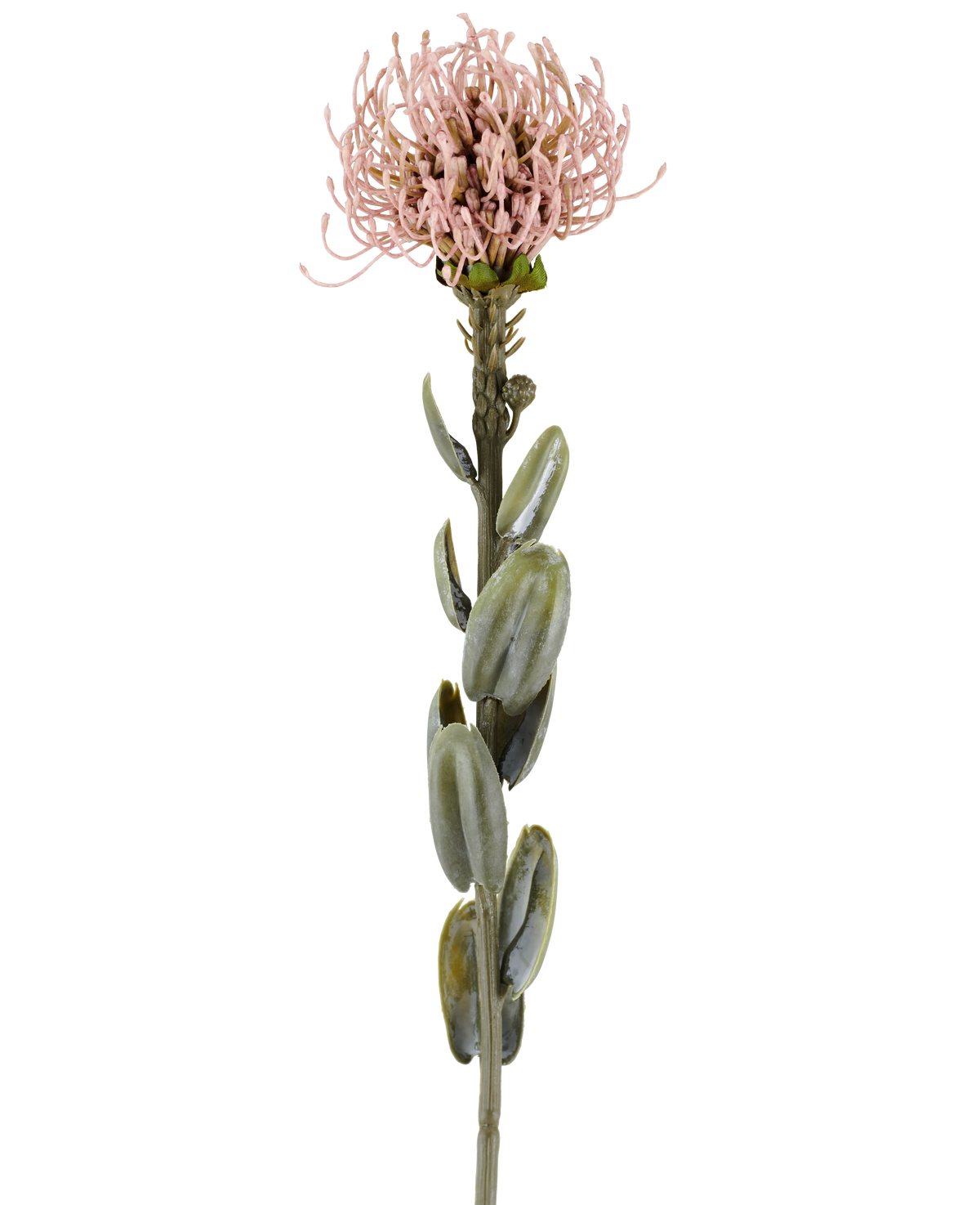 Un singolo stelo del fiore artificiale Protea da 61 cm color malva, con foglie ovali verdi e un fiore rotondo e appuntito rosa malva chiaro nella parte superiore, raffigurato su un semplice sfondo bianco.
