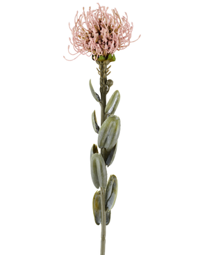 Un singolo stelo del fiore artificiale Protea da 61 cm color malva, con foglie ovali verdi e un fiore rotondo e appuntito rosa malva chiaro nella parte superiore, raffigurato su un semplice sfondo bianco.