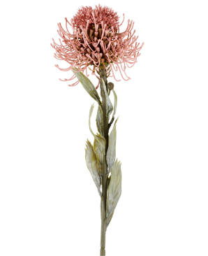 Fiore artificiale Protea 60 cm rosa antico con petali rosa appuntiti e foglie verdi su un lungo stelo, su sfondo bianco semplice.
