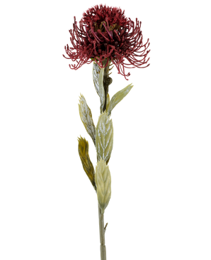 Un singolo fiore artificiale di Protea di 60 cm in colore bordeaux ha un fiore appuntito rosso scuro con foglie verdi, fotografato su uno sfondo bianco.