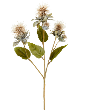 Un singolo stelo di fiore artificiale di cartamo 57 cm crema/marrone, con fiori a tre punte, rotondi, marrone chiaro e alcune foglie verdi, raffigurate su sfondo bianco.