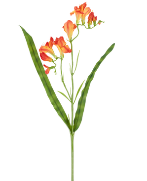 Un unico stelo del fiore artificiale Fresia arancione da 56 cm, con foglie verdi lunghe e strette e molteplici fiori arancioni di fresia in fiore nella parte superiore, raffigurati su uno sfondo bianco.