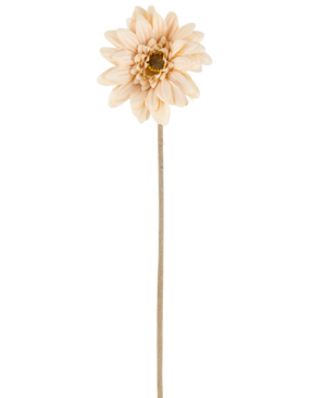 Un singolo fiore artificiale Mini Gerbera in crema/marrone, con petali a strati e uno stelo lungo e sottile di 47 cm, centrato su uno sfondo bianco.