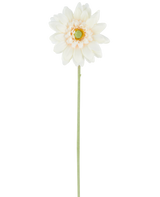 De Kunstbloeme Mini Gerbera 47 cm crème is een enkele kunstbloem in een crèmewitte tint, met gelaagde bloemblaadjes en een groen hart, bevestigd aan een lange, rechte groene steel en gepresenteerd tegen een effen witte achtergrond.