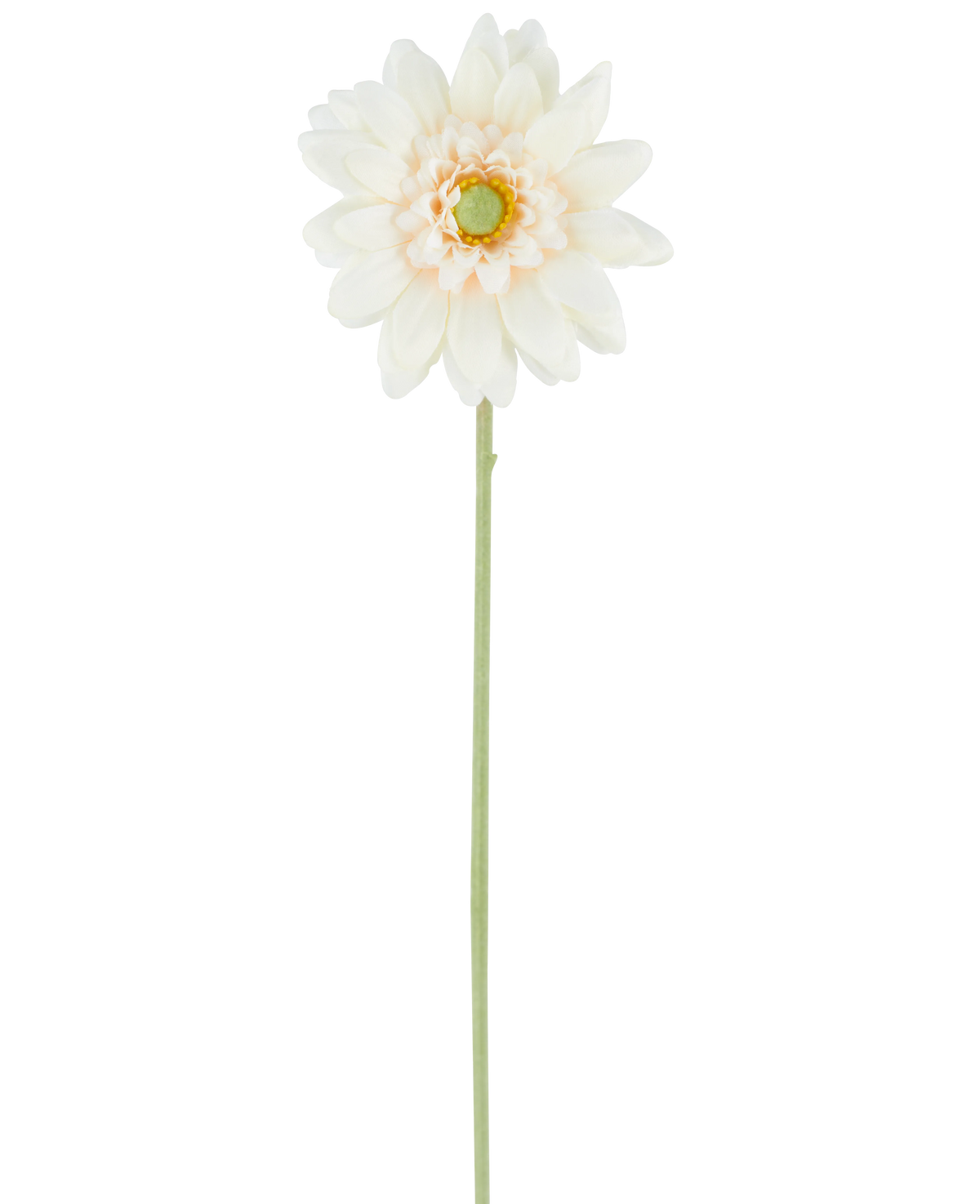 Il fiore artificiale Mini Gerbera crema da 47 cm è un singolo fiore artificiale in una tonalità bianco crema, con petali a strati e un cuore verde, attaccato a un lungo stelo verde dritto e presentato su un semplice sfondo bianco.