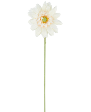 Il fiore artificiale Mini Gerbera crema da 47 cm è un singolo fiore artificiale in una tonalità bianco crema, con petali a strati e un cuore verde, attaccato a un lungo stelo verde dritto e presentato su un semplice sfondo bianco.