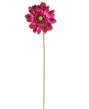 Un singolo fiore artificiale Mini Gerbera di 47 cm in rosa scuro con petali a strati e un cuore verde su uno stelo verde lungo e sottile, isolato su uno sfondo bianco.