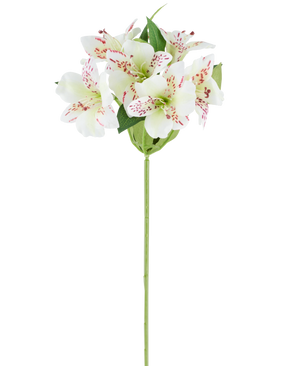 Fiore artificiale Alstroemeria 47 cm color crema con petali color crema e sottili macchie rosse, integrati con foglie verdi su un unico stelo verde, raffigurato su uno sfondo bianco.
