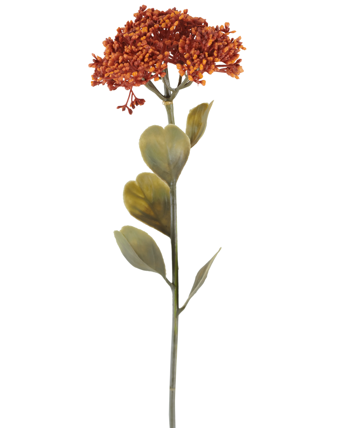 Un singolo fiore di Sedum artificiale di 46 cm di colore arancio invecchiato, con mazzi di piccoli fiori rosso-arancio e alcune foglie verdi, raffigurato su sfondo bianco.