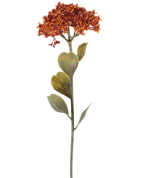 Un singolo fiore di Sedum artificiale di 46 cm di colore arancio invecchiato, con mazzi di piccoli fiori rosso-arancio e alcune foglie verdi, raffigurato su sfondo bianco.