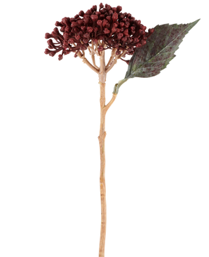 Su uno sfondo bianco è raffigurato un singolo fiore artificiale di ortensia secca di colore rosso bordeaux, lungo 38 cm, con petali secchi rosso-marroni, un grappolo di piccoli boccioli e una foglia verde su uno stelo lungo e sottile.