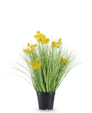 L'erba artificiale con radici e fiori di cipolla è contenuta in un vaso di plastica nera, con foglie lunghe e sottili simili a erba e mazzi di piccoli fiori gialli brillanti sulle punte. La pianta artificiale è alta 50 cm, ignifuga e si staglia su uno sfondo bianco a tinta unita.