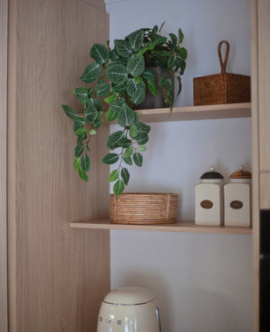 Una mensola della cucina con la Fittonia artificiale verde-bianca sospesa in un vaso (70 cm), una pianta sospesa, accanto a un cestino di vimini, due vasi con etichette e un piccolo dispositivo sotto, il tutto su uno sfondo di mobili in legno chiaro.