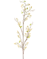 De Kunstbloem Verbena 157 cm crème heeft een lange, slanke bruine stengel met kleine trosjes delicate crèmekleurige bloemen en een paar groene blaadjes, tegen een effen witte achtergrond.