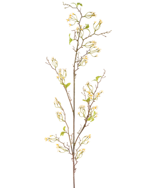 Il fiore artificiale Verbena crema da 157 cm ha un lungo e sottile stelo marrone con piccoli mazzi di delicati fiori color crema e alcune foglie verdi, su uno sfondo bianco semplice.
