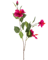 De Kunstbloem Hibiscus 89 cm fuchsia heeft een tak met groene bladeren, verschillende levendige fuchsia hibiscusbloemen en een gesloten knop, allemaal tegen een witte achtergrond.
