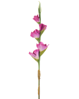 Een enkele stengel Kunstbloem Gladiolen 83 cm fuchsia heeft vier levendige roze bloemen op een groene steel, tegen een effen witte achtergrond.