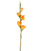De Kunstbloem Gladiolen 83 cm oranje heeft een lange groene steel met meerdere oranje gladioolbloemen op een witte achtergrond.
