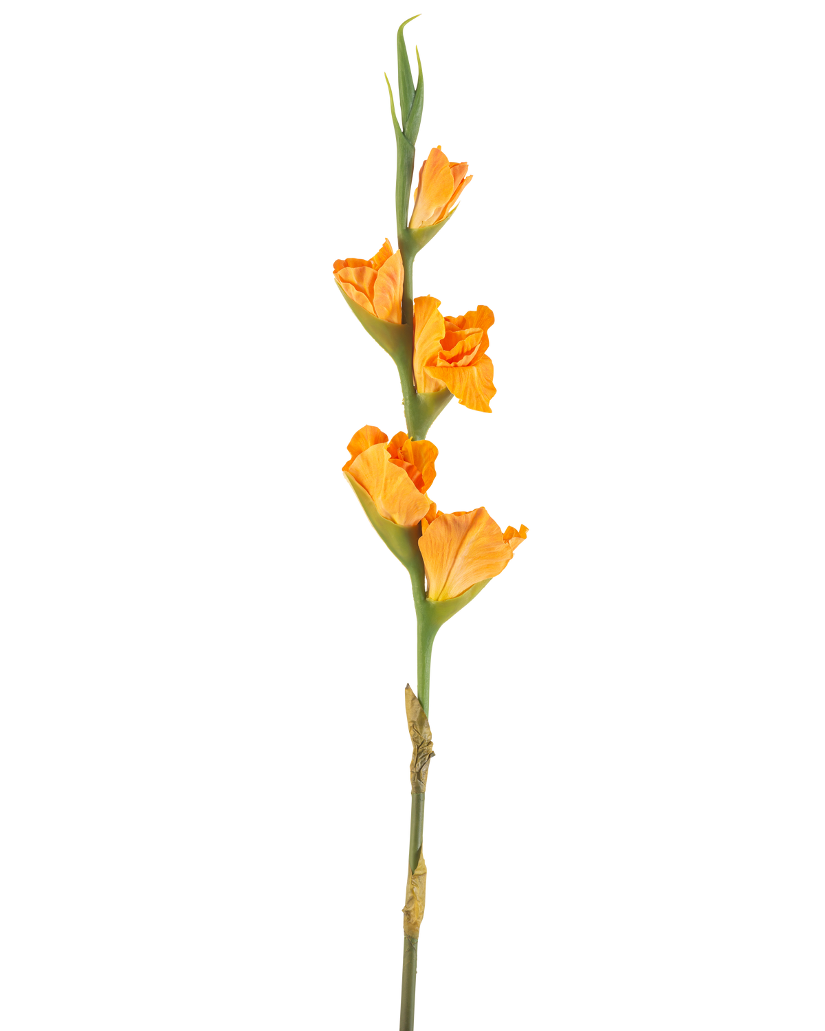 Il fiore artificiale Gladiolo arancione 83 cm ha un lungo stelo verde con diversi fiori di gladiolo arancione su sfondo bianco.