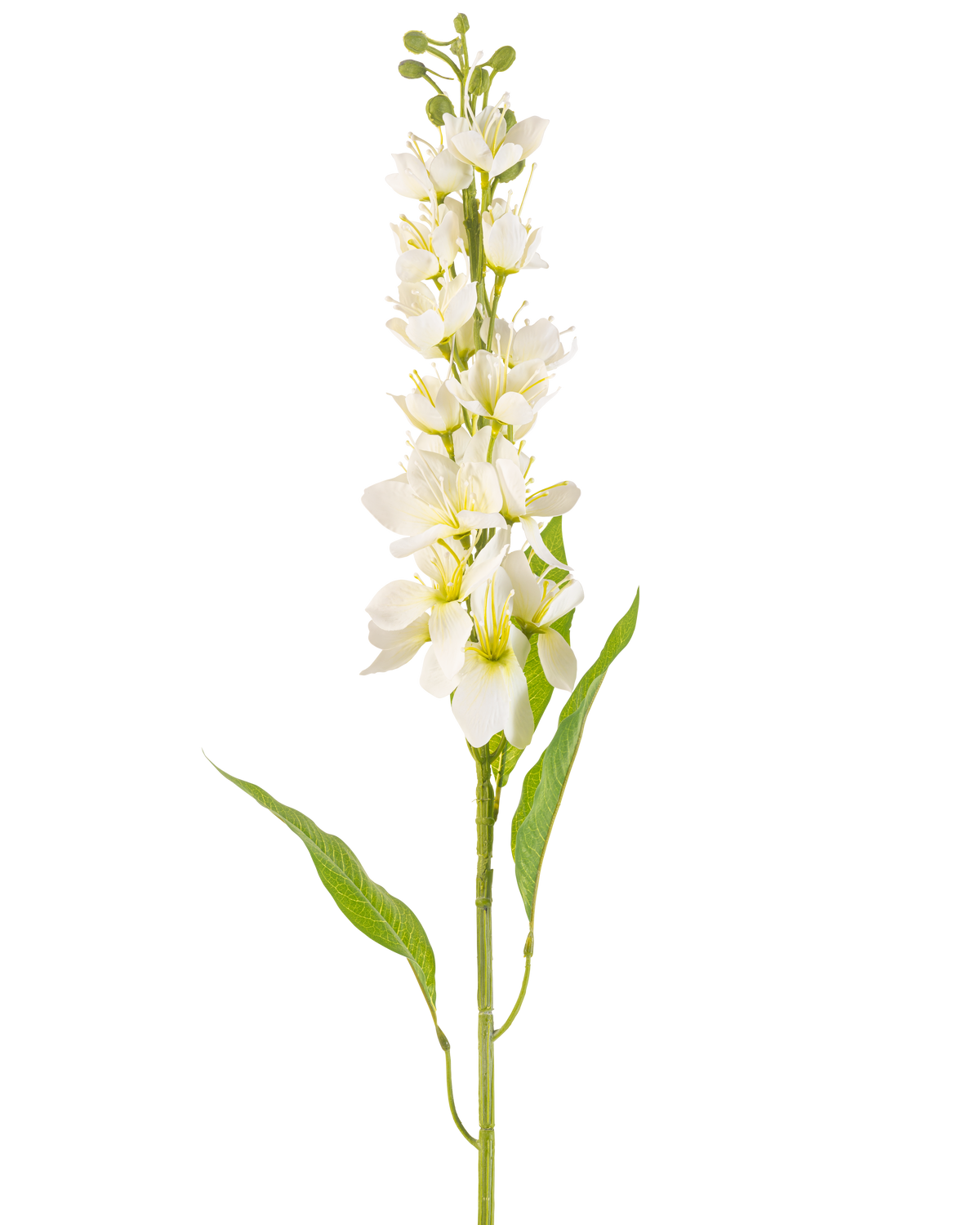 Il fiore artificiale mela asiatica crema da 84 cm ha un lungo stelo con diversi fiori delicati color crema e foglie verdi lunghe e strette su uno sfondo bianco semplice.