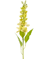 De Kunstbloem Aziatische appel 84 cm groen heeft een enkele hoge stengel met meerdere lichtgele bloemen en langwerpige groene bladeren, afgebeeld tegen een witte achtergrond.