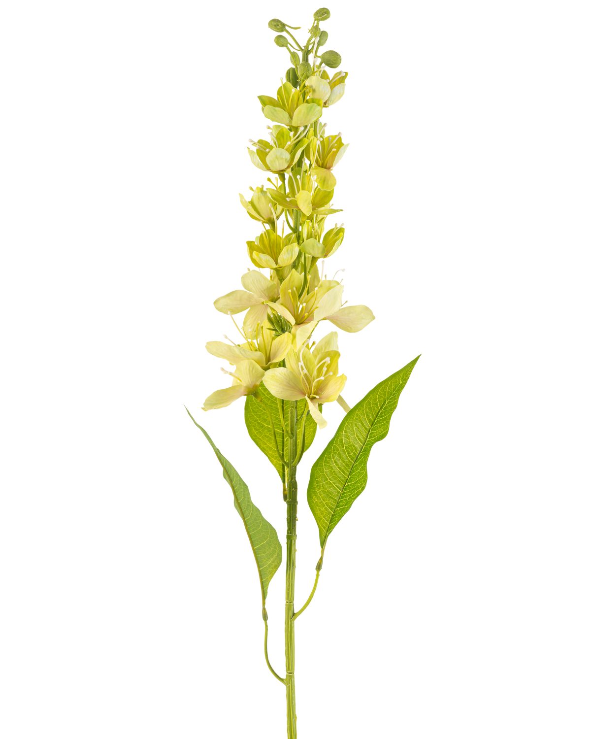 Il fiore artificiale Mela asiatica verde 84 cm ha un unico stelo alto con molteplici fiori giallo chiaro e foglie verdi allungate, raffigurati su sfondo bianco.